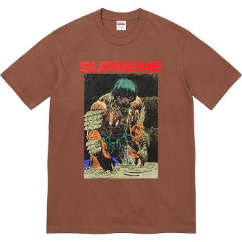 Camiseta Supreme Ronin Tee Marrones | CO351QZ