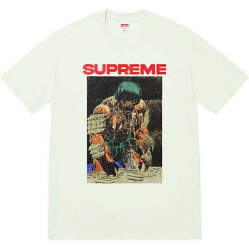 Camiseta Supreme Ronin Tee Verde Menta | CO353EX